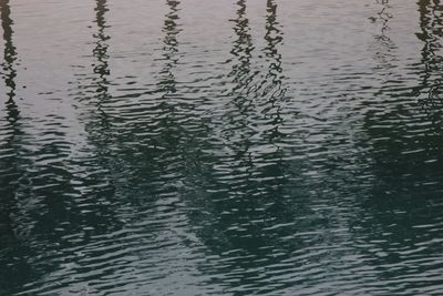 Full frame shot of rippled water