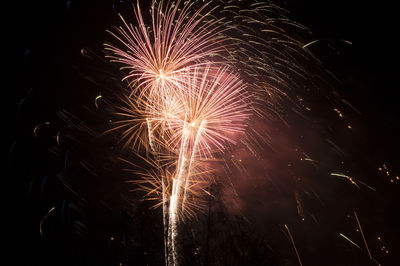 Low angle view of firework display against clear sky at night