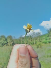 Cropped image of hand holding flower against clear sky