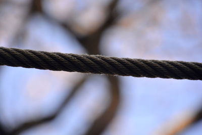 Close-up of rope