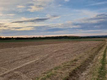 Scenic view of agricultural field against sky