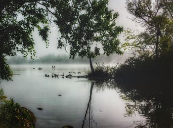 Scenic view of lake against sky