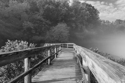 Wooden footbridge along trees in forest