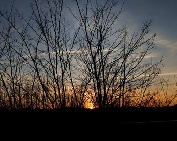 Silhouette bare trees against sky during sunset