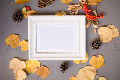 Colorful autumn pattern made of pumpkins, cones, leaves and rowan on gray frame, copy concept.