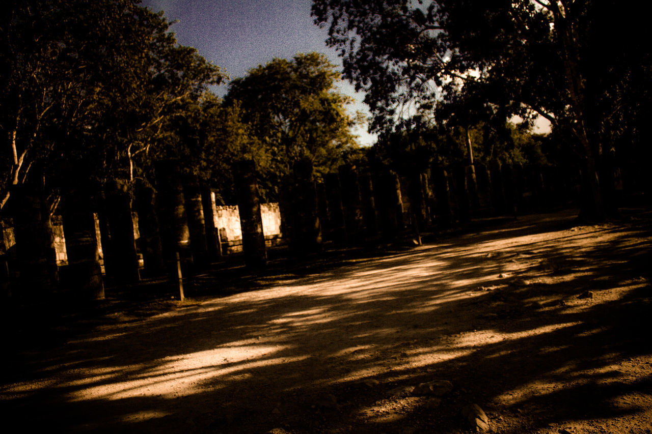 SILHOUETTE TREES ON FIELD AGAINST SKY