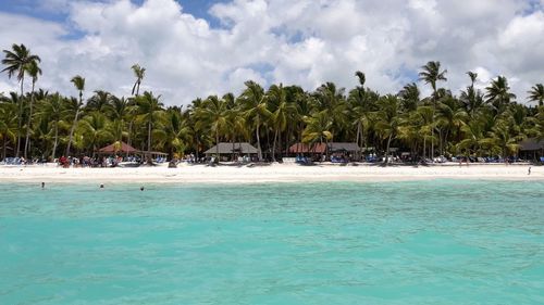 Panoramic shot of palm trees on beach against sky