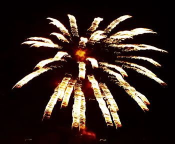 Low angle view of firework display against sky at night