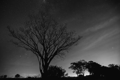 Low angle view of silhouette bare trees against sky at night