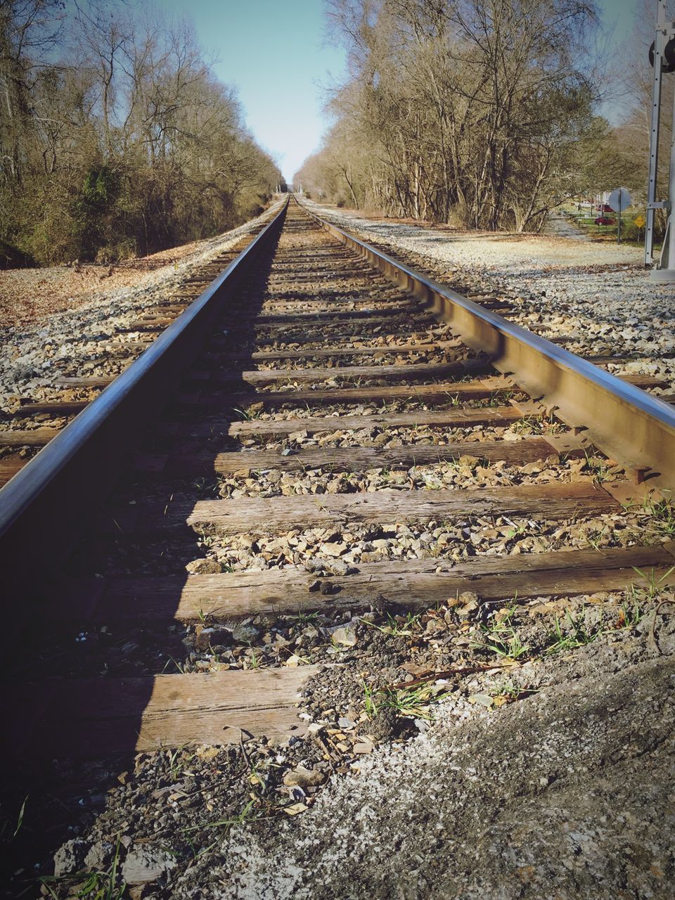 the way forward, diminishing perspective, vanishing point, tree, transportation, surface level, tranquility, nature, railroad track, sky, long, road, day, tranquil scene, landscape, outdoors, sunlight, no people, straight, asphalt