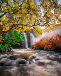 Scenic view of waterfall in forest during autumn