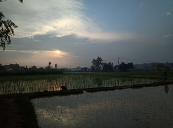 Scenic view of agricultural field against sky during sunset