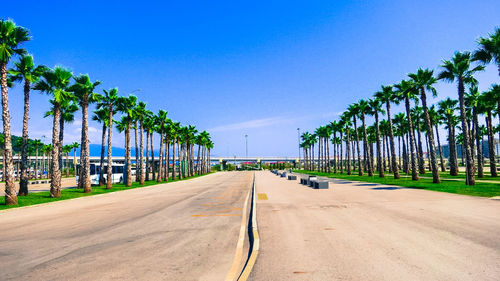 Street amidst palm trees at sochi olympic park against sky