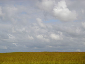 Scenic view of field against sky