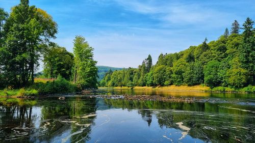 Scenic view of lake by trees against sky