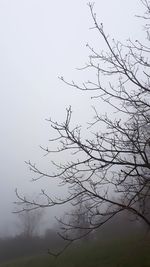 Low angle view of silhouette bare tree against sky