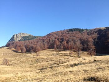 Scenic view of landscape against clear blue sky