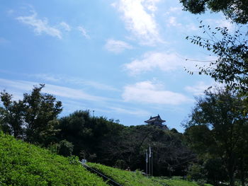 Low angle view of bird flying against sky
