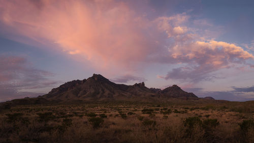Scenic view of field against sky during sunset in big bend national park - texas