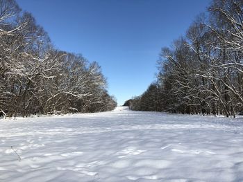 Snow covered land and trees against sky