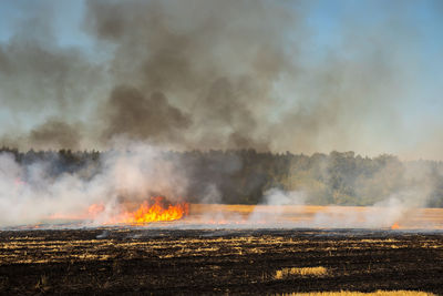 Panoramic shot of bonfire