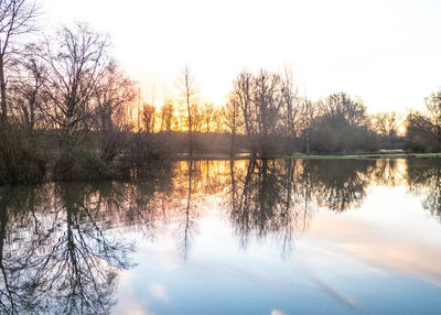 Reflection of trees in lake