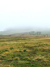 Scenic view of grassy field in foggy weather