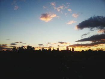 Silhouette trees on landscape at sunset