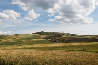 Scenic view of landscape against sky