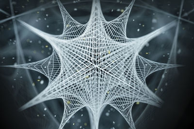 Close-up of spider web against black background