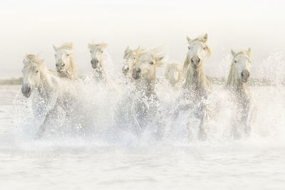 Scenic view of waterfall against sky