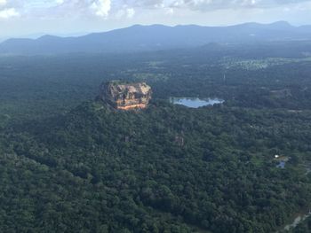 High angle view of trees on mountain