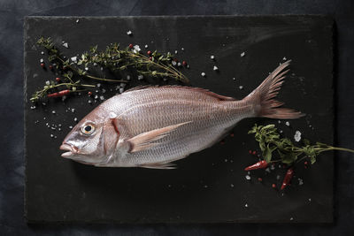 Directly above shot of fish and ingredient on slate