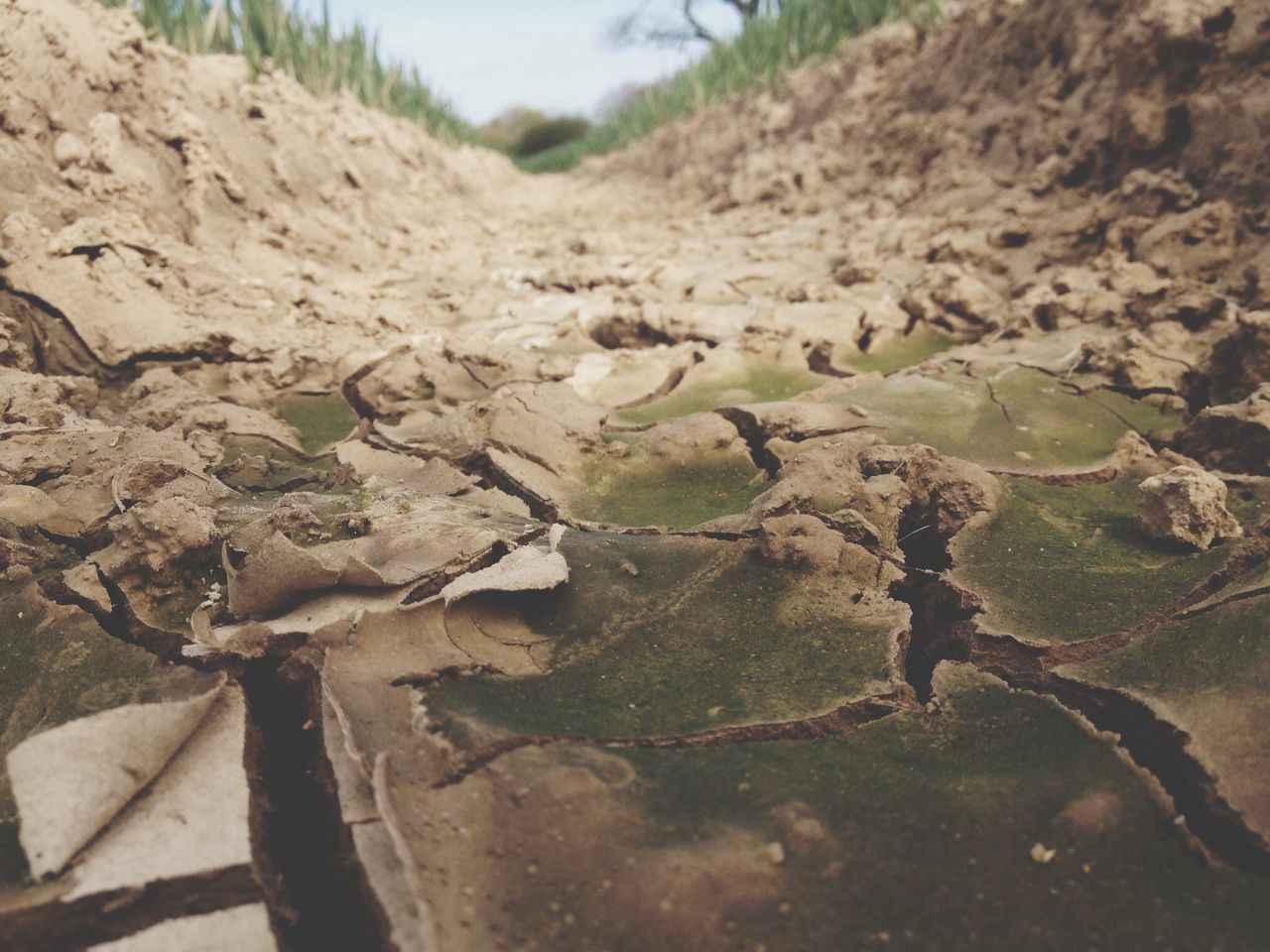 Close-up of cracked landscape