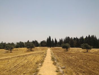 Scenic view of field against clear sky