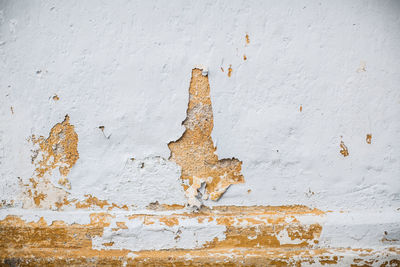 A white paint with orange wall for background.