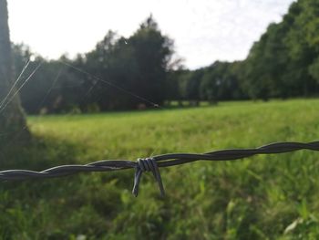 Close-up of barbed wire on field against sky