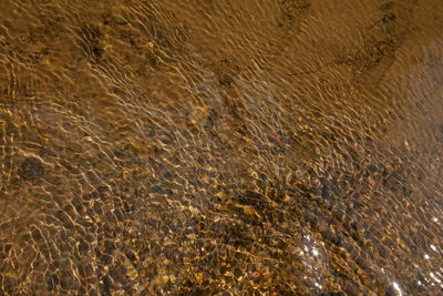 Full frame shot of sea water