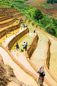 High angle view of farmers working on terraced field