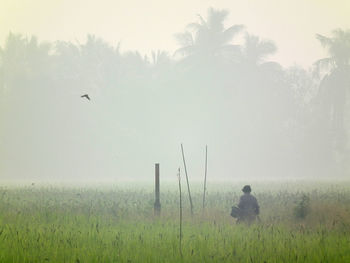 Rear view of bird on field against sky