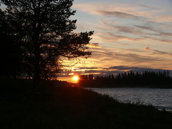 Silhouette tree against sky during sunset