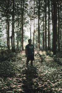 Man standing in forest