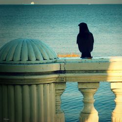 Rear view of woman standing by sea