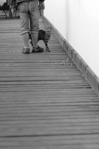 Low section of people walking on staircase