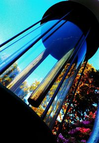 Close-up of tree against blue sky