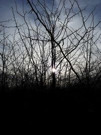 Low angle view of silhouette bare trees against sky during sunset