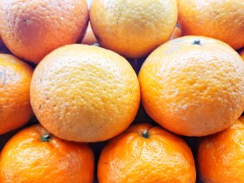 Close-up of oranges