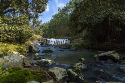 Stream flowing through rocks