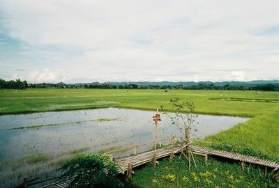 Scenic view of farm against sky