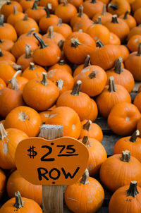 High angle view of pumpkins for sale